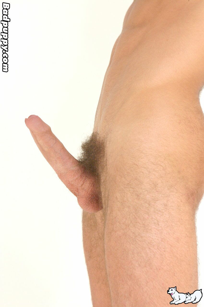 Pavel Kovarik - MaxeGatos - Foto 198