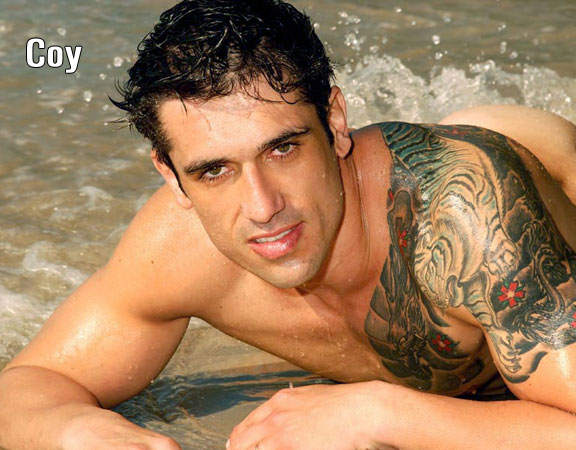 Coy Cosendey + Willian Ramos - MaxeGatos - Foto 2