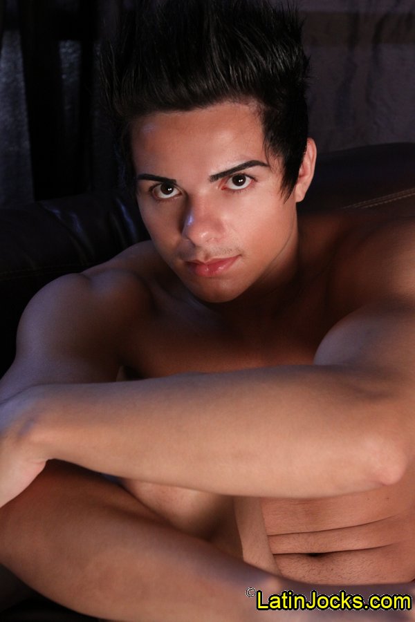 Peterson - MaxeGatos - Foto 22