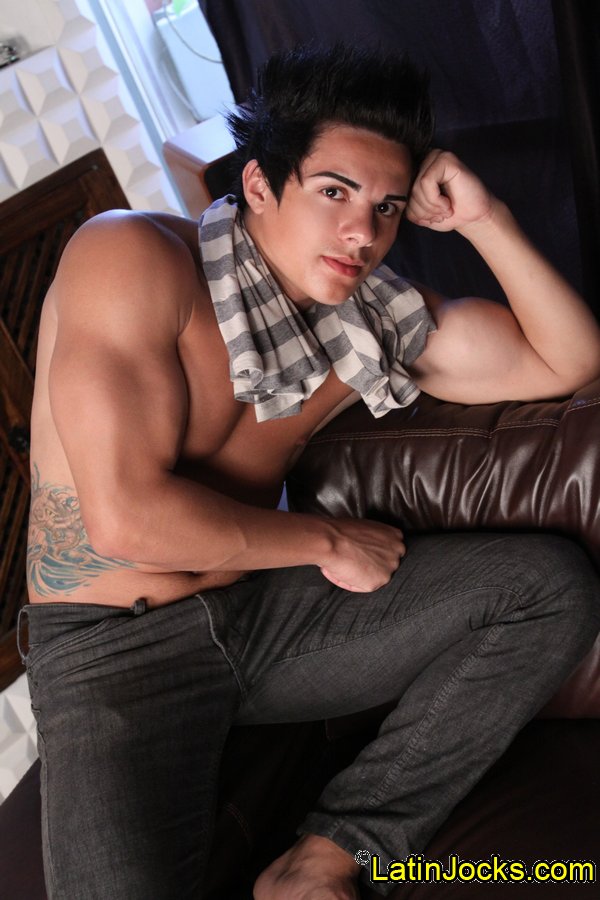 Peterson - MaxeGatos - Foto 7