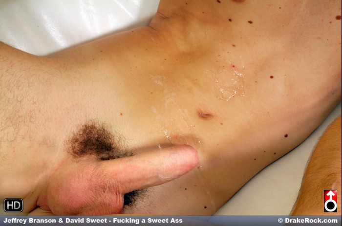 Jeffrey Branson & David Sweet - MaxeGatos - Foto 19