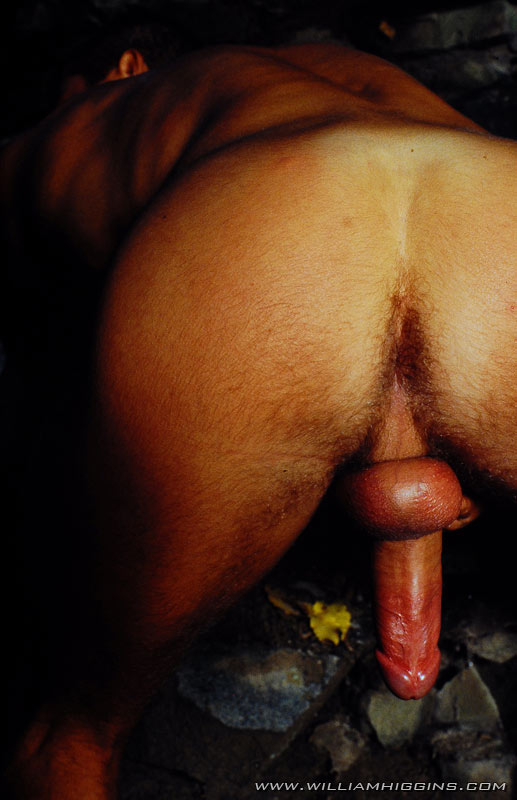 Jan Dvorak - MaxeGatos - Foto 40