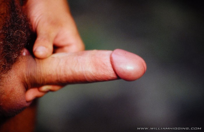 Jan Dvorak - MaxeGatos - Foto 61