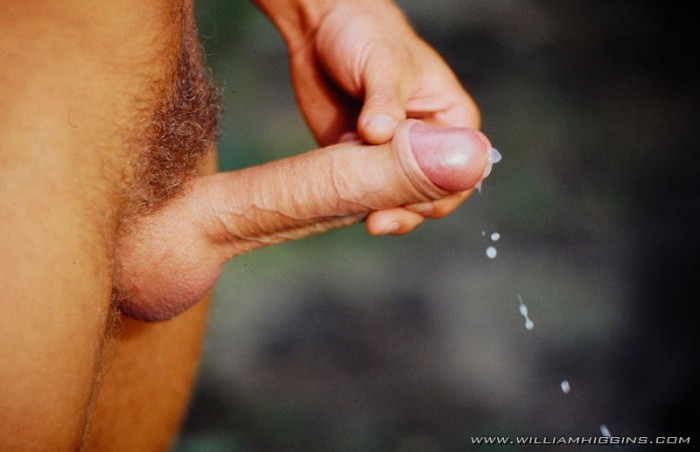 Jan Dvorak - MaxeGatos - Foto 62