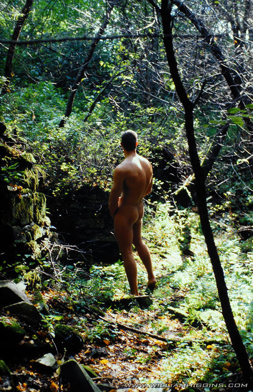 Jan Dvorak - MaxeGatos - Foto 63