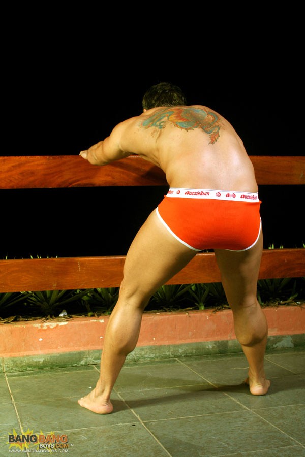 Marcos Soares - MaxeGatos - Foto 14