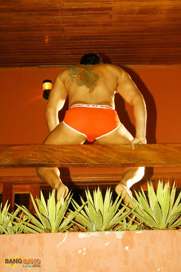 Marcos Soares - MaxeGatos - Foto 33