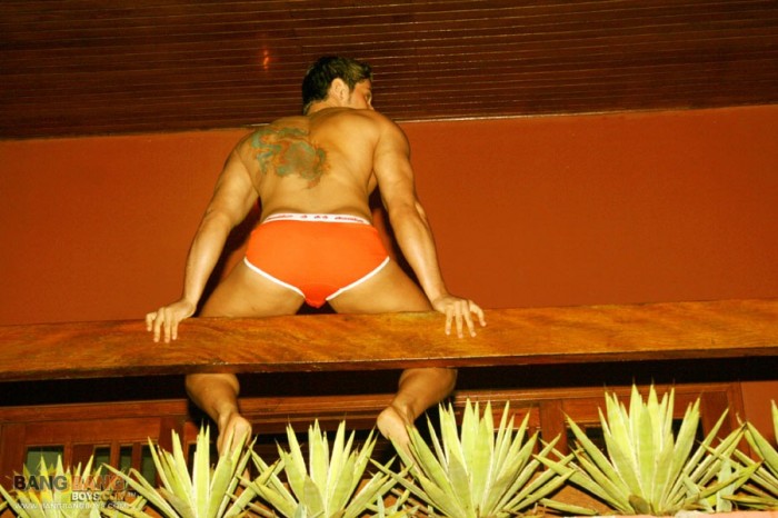 Marcos Soares - MaxeGatos - Foto 34