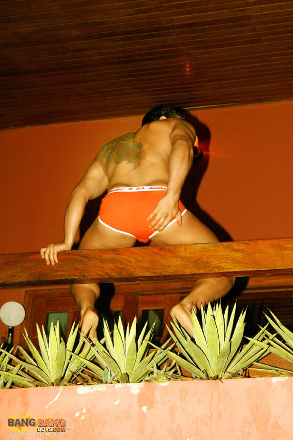 Marcos Soares - MaxeGatos - Foto 36