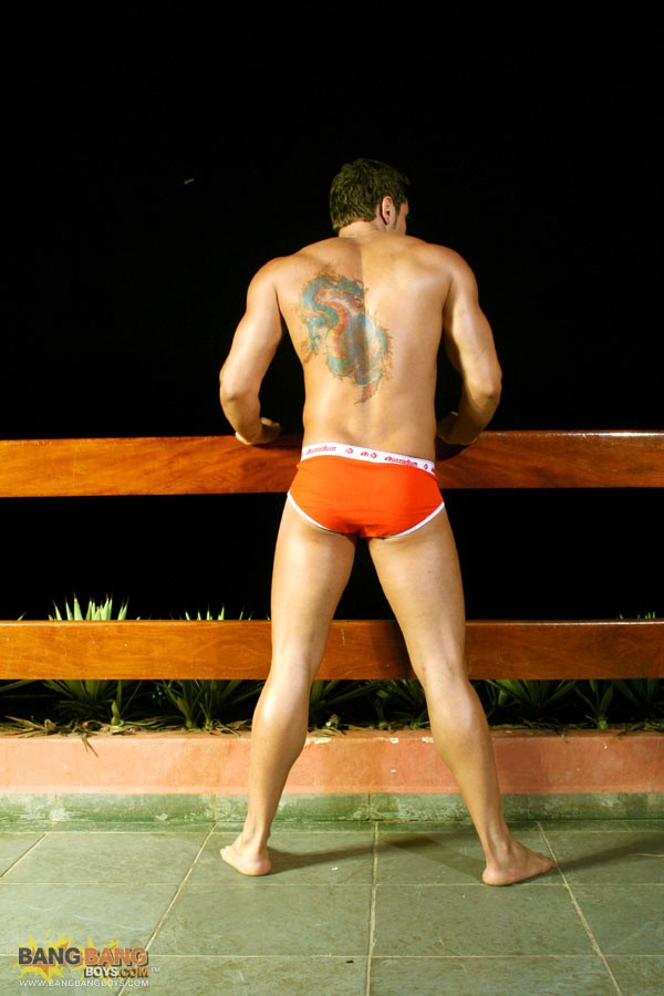 Marcos Soares - MaxeGatos - Foto 9