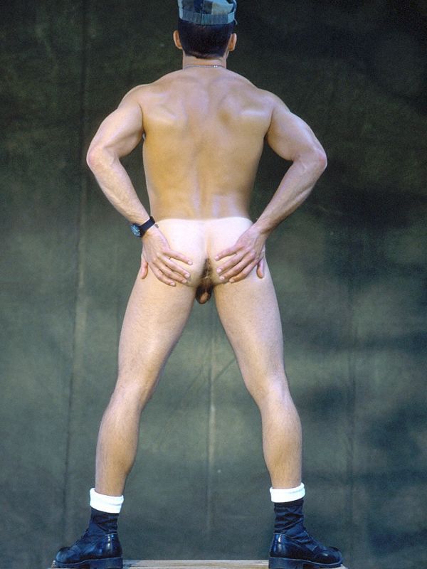 Alex Austin - MaxeGatos - Foto 13