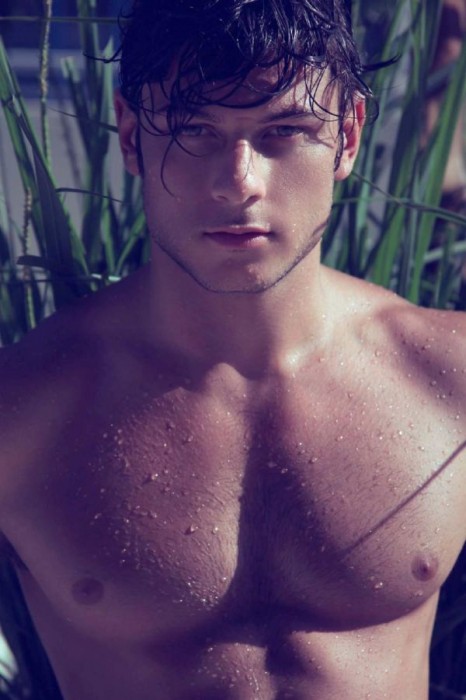 Daniel Garofali - MaxeGatos - Foto 33