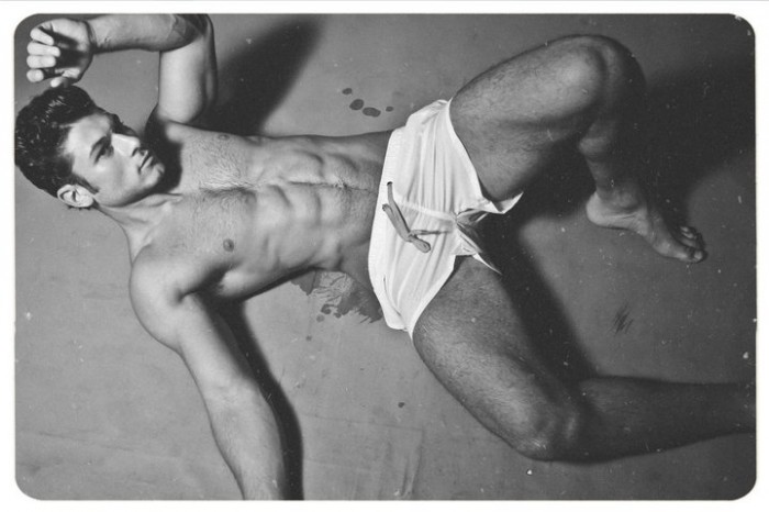 Daniel Garofali - MaxeGatos - Foto 39