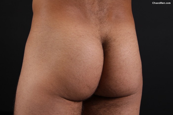 Carmine - MaxeGatos - Foto 40