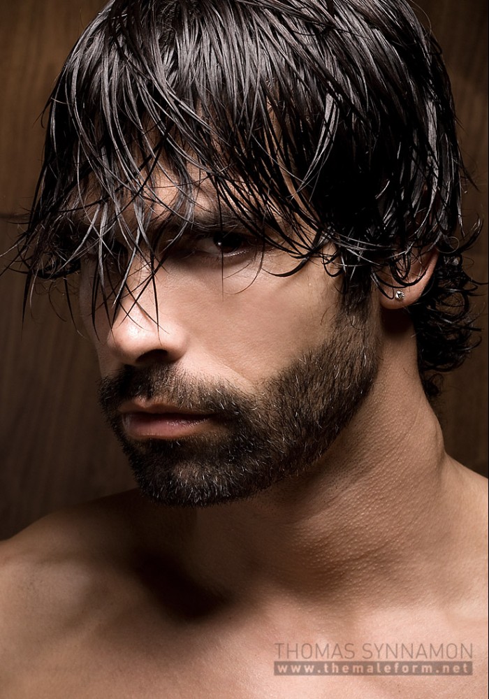 Dionisio - MaxeGatos - Foto 14