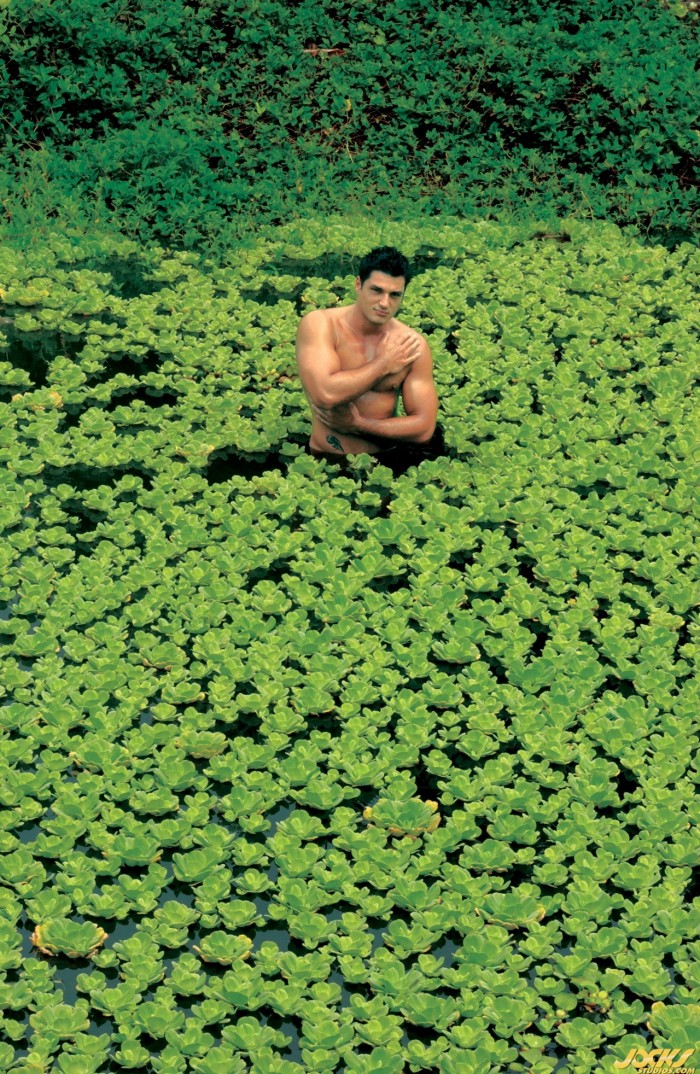 Mix Gatos - MaxeGatos 17