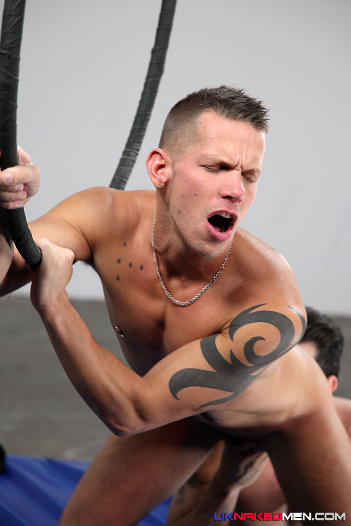 Harry Louis & Shane Frost - MaxeGatos - Foto 57