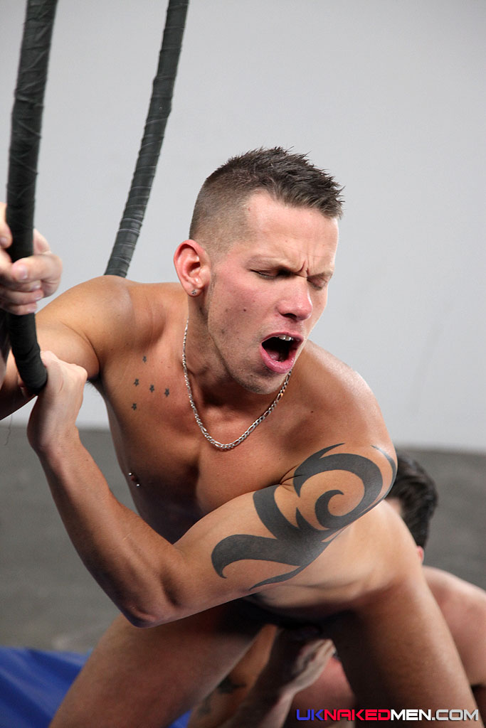 Harry Louis & Shane Frost - MaxeGatos - Foto 58