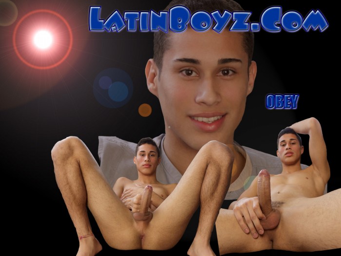 Obey - MaxeGatos - Foto 1