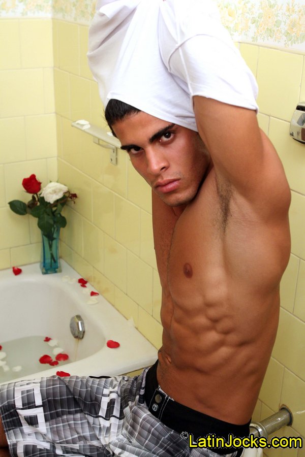 Nicky - MaxeGatos 10