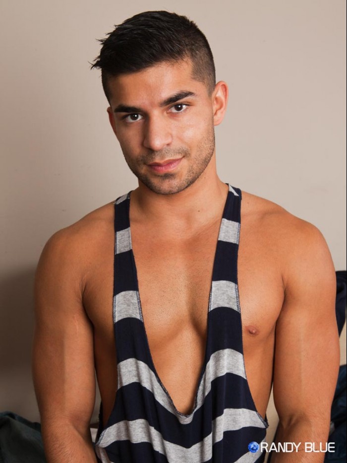 Cody & Nicco - MaxeGatos - Foto 12