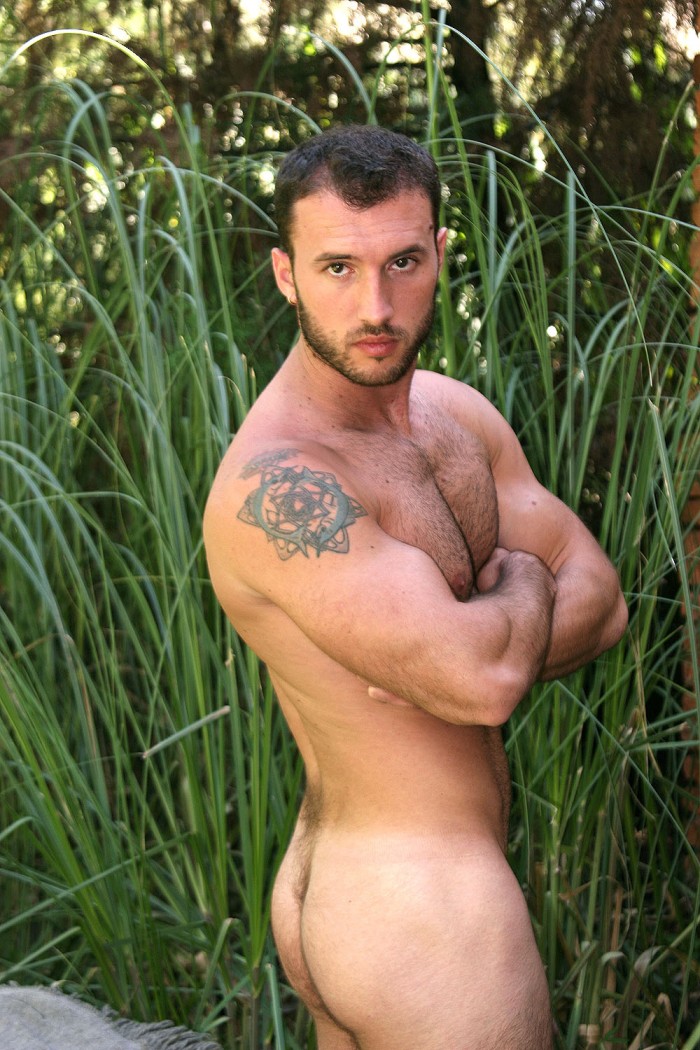 Paul Alba - MaxeGatos - Foto 11