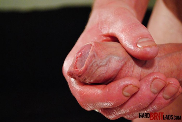 James Dixon - MaxeGatos - Foto 43