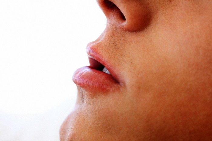 Kevin Warhol - MaxeGatos - Foto 19