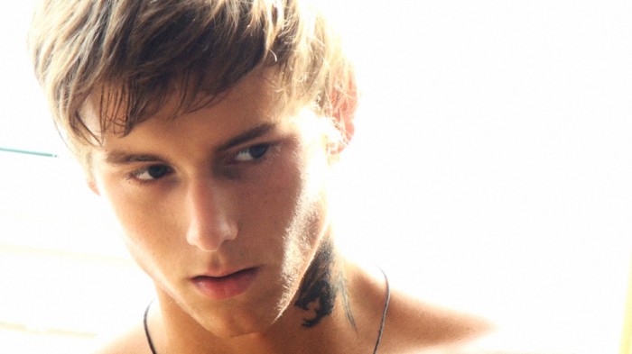 Kevin Warhol - MaxeGatos - Foto 7