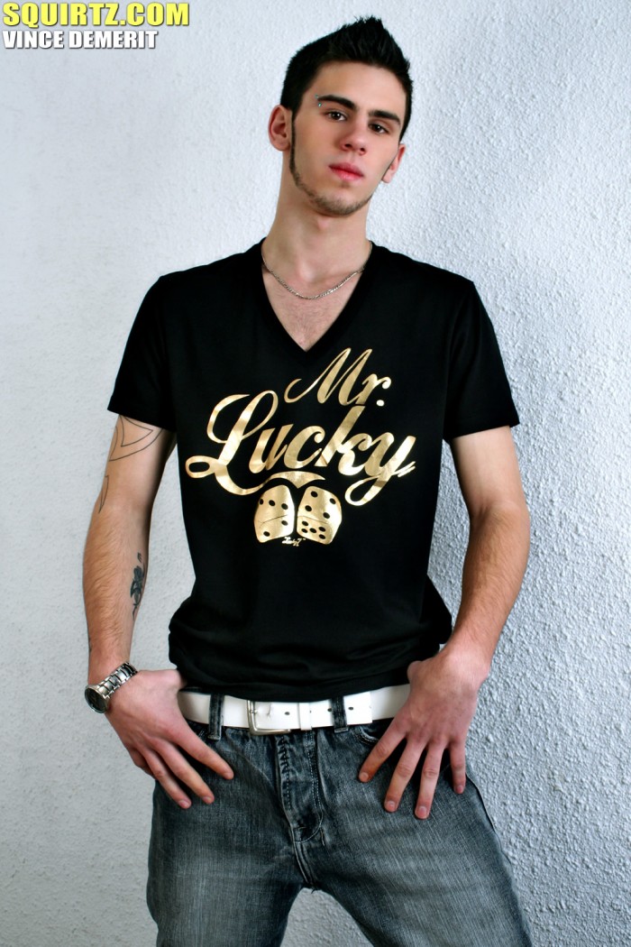 Vince Demerit - MaxeGatos - Foto 1