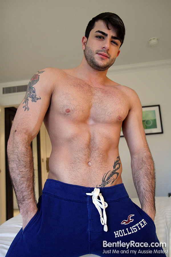 Harry Louis - MaxeGatos - Foto 1