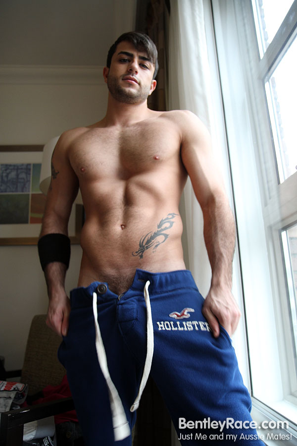 Harry Louis - MaxeGatos - Foto 29