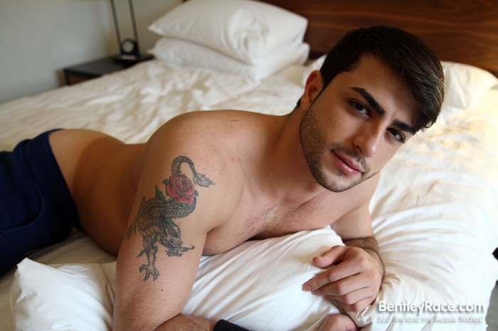 Harry Louis - MaxeGatos - Foto 77