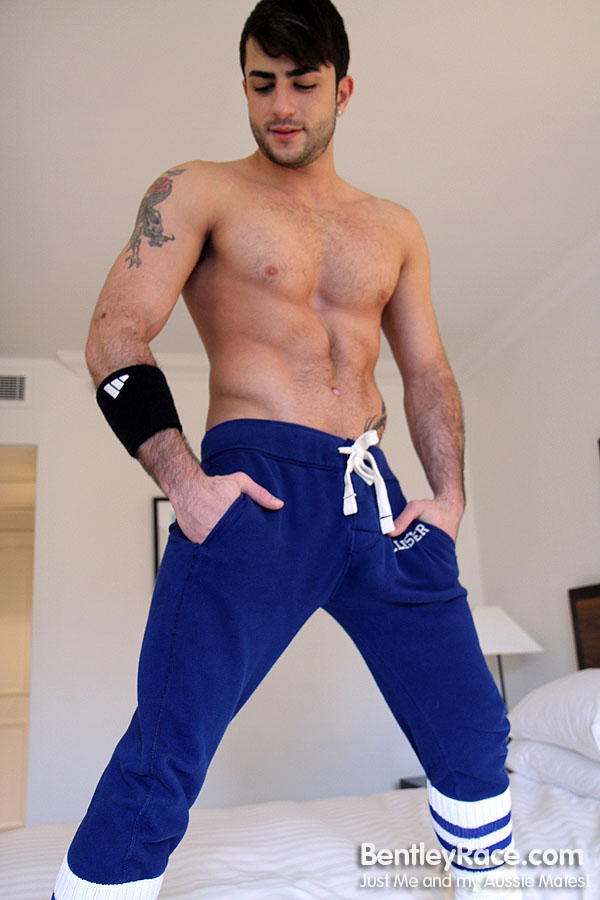 Harry Louis - MaxeGatos - Foto 8