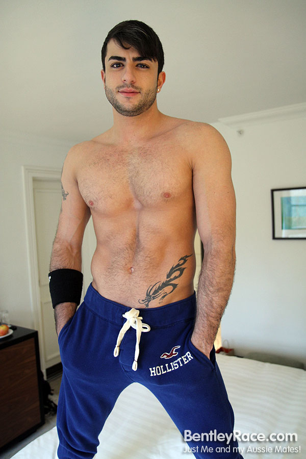 Harry Louis - MaxeGatos - Foto 9