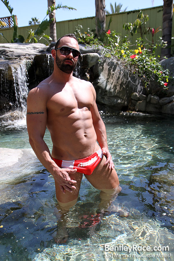 Fabio Stallone - MaxeGatos - Foto 11