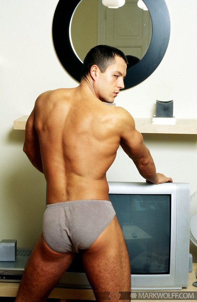 Glen Santoro - MaxeGatos - Foto 10