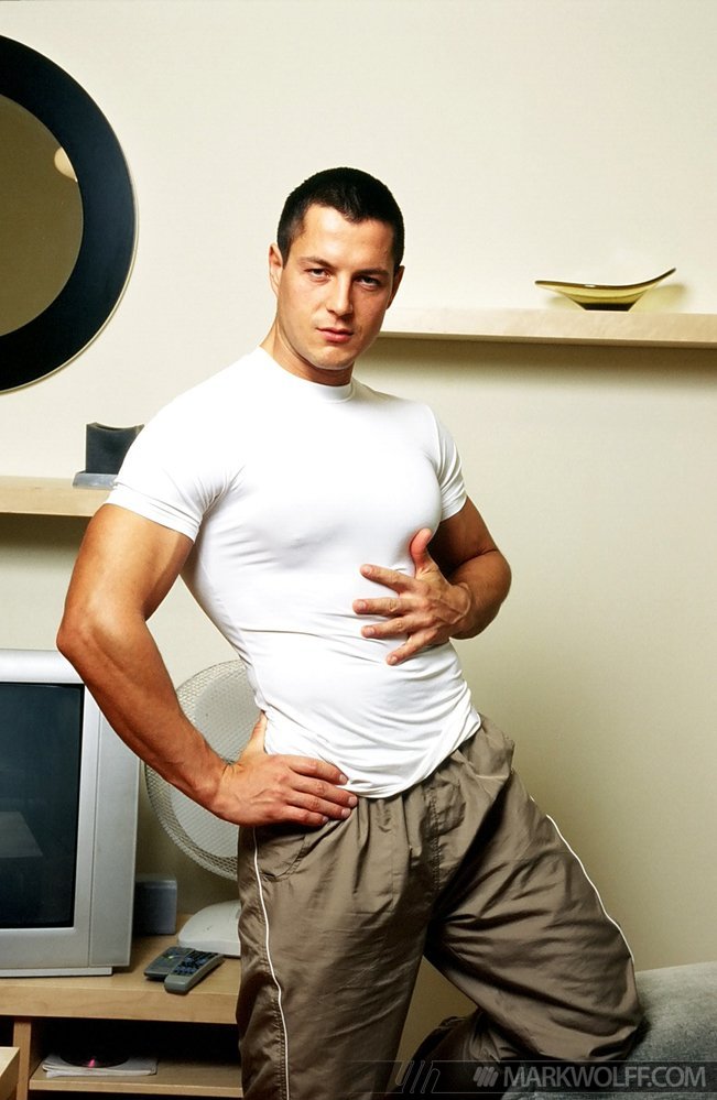 Glen Santoro - MaxeGatos - Foto 2