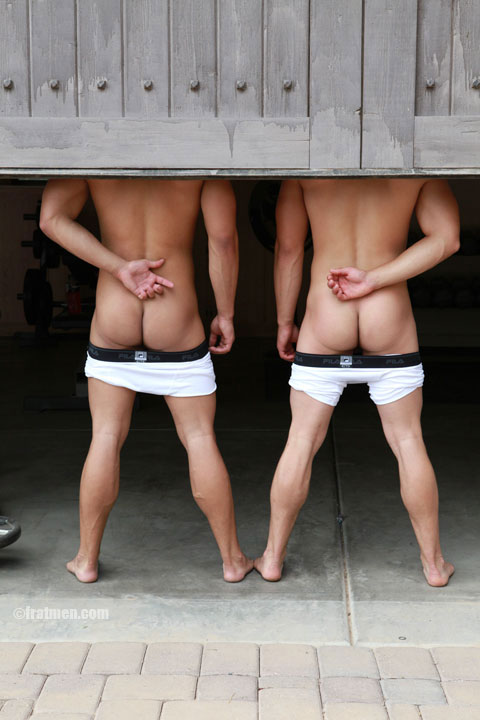 Micky and Ajay - MaxeGatos - Foto 19