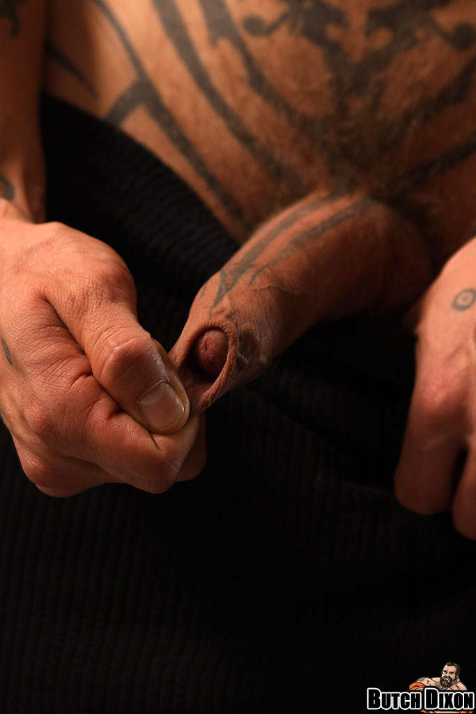 Logan McCree - MaxeGatos - Foto 51