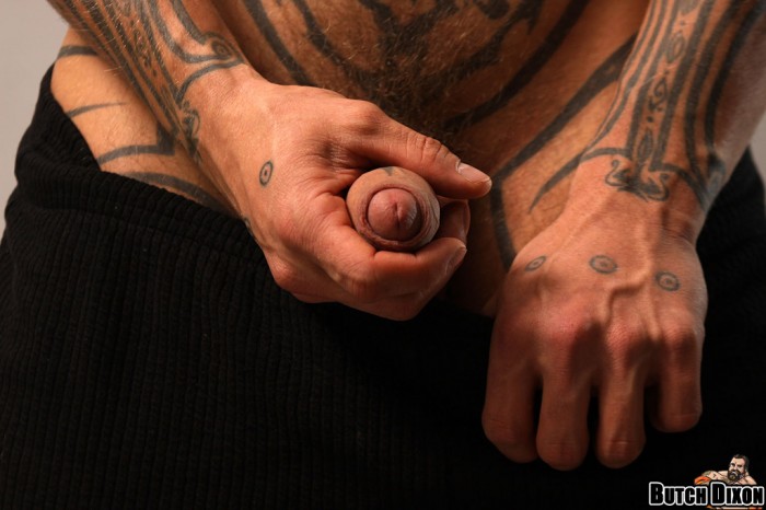 Logan McCree - MaxeGatos - Foto 63