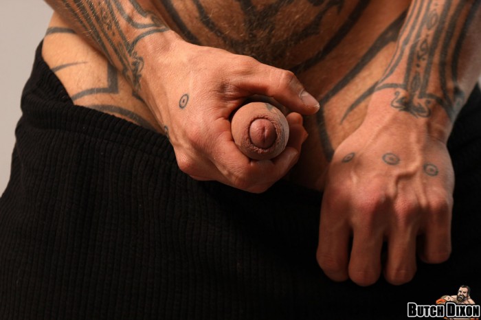 Logan McCree - MaxeGatos - Foto 65