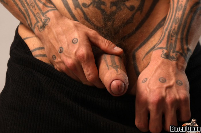 Logan McCree - MaxeGatos - Foto 66