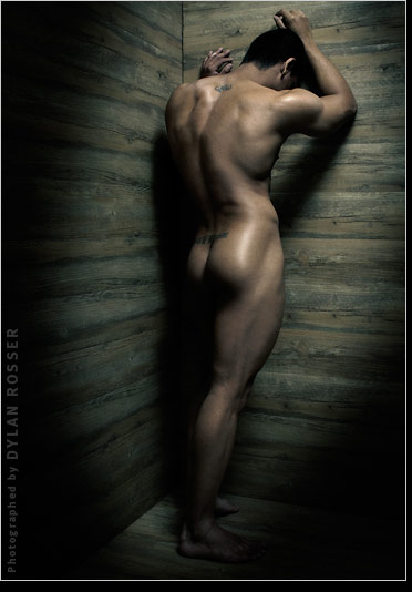 Ajay - Alex - MaxeGatos - Foto 12