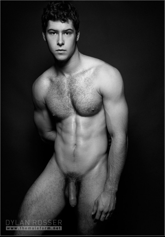 Ajay - Alex - MaxeGatos - Foto 7