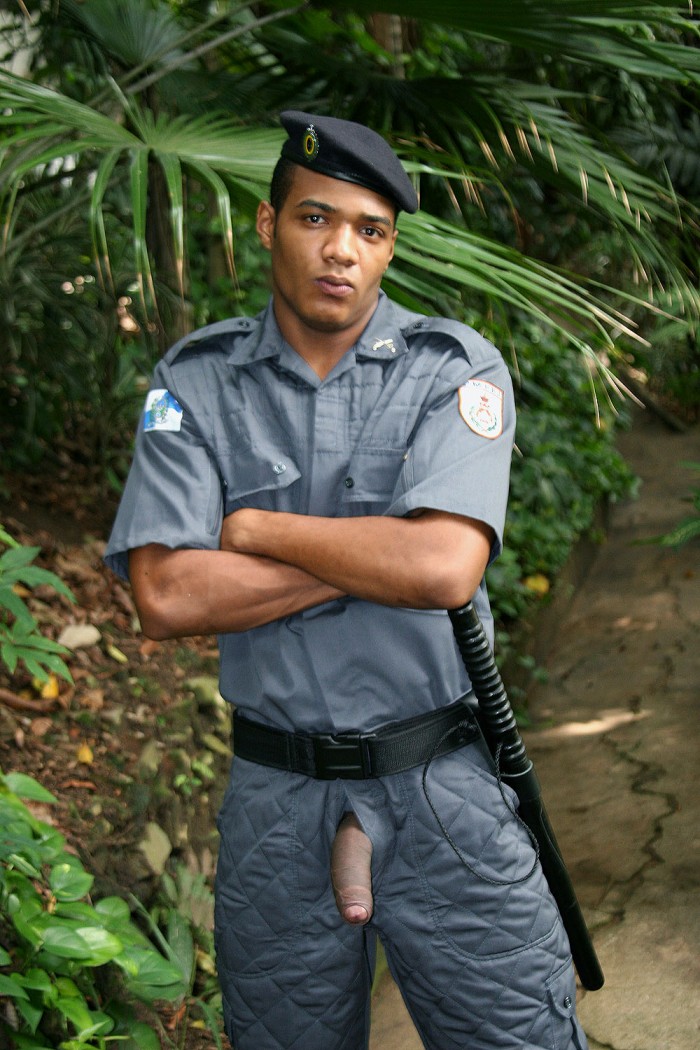 Bruno Loronha - MaxeGatos - Foto 27