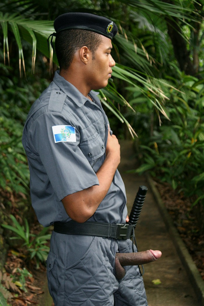 Bruno Loronha - MaxeGatos - Foto 35