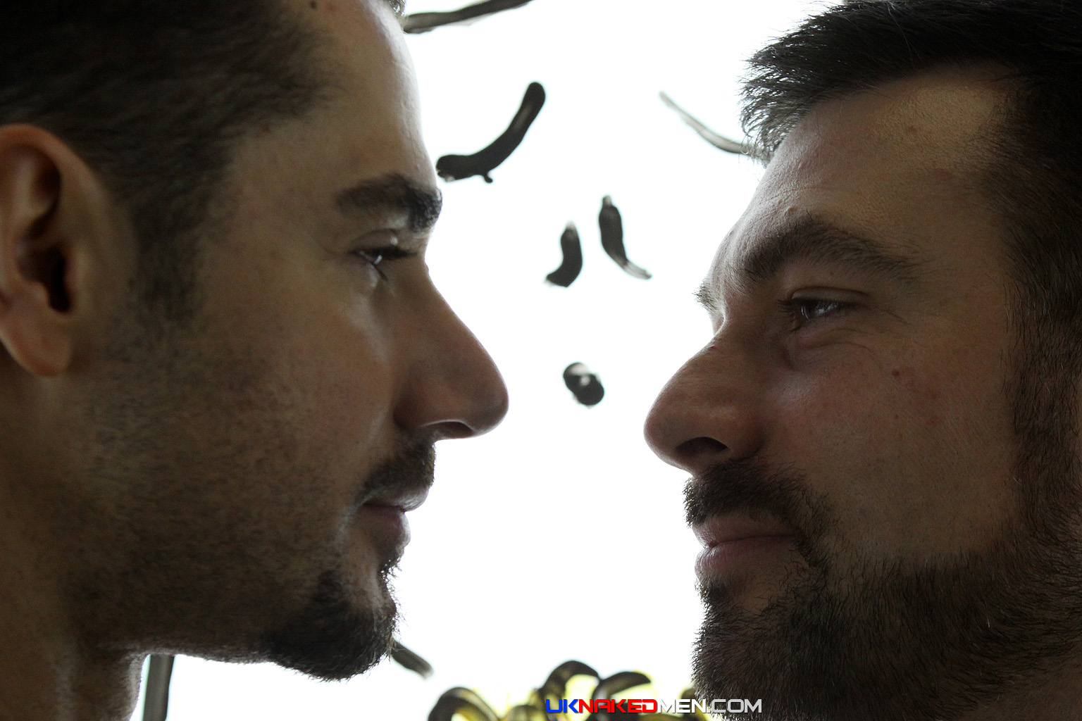 AG-EXTRA08 - Foto 154