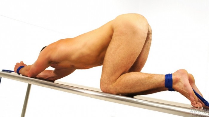 Paddy OBrian - MaxeGatos - Foto 15