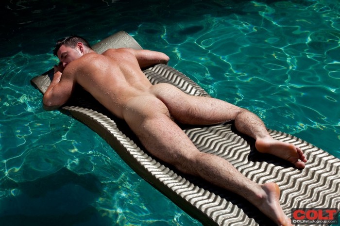 Paddy OBrian - MaxeGatos - Foto 57